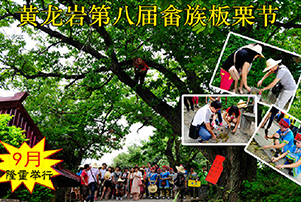 黄龙岩第八届板栗节，9月开打啦~！