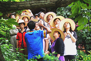 （图/文）2009黄龙岩第四届畲族板栗节火爆进行