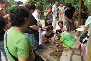 2009年—黄龙岩畲族板栗节活动安排内容